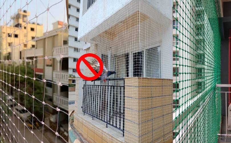 Pigeon Safety Nets In Bangalore